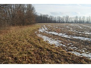 Property photo 32 - FARMLAND AUCTION, 60+/- Acres in 6 Tracts ranging from 4 to 20 acres & in combinations!